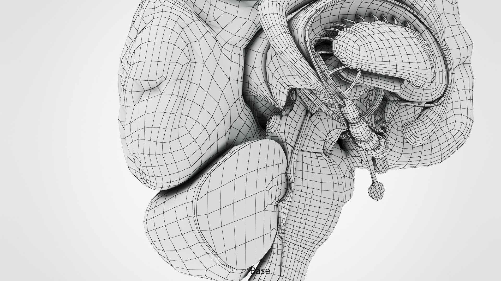 Brain and nervous system 3D https://p.turbosquid.com/ts-thumb/NM/SBGV3v/MY/ww00009/jpg/1657200850/1920x1080/fit_q87/a4fc1fdb2275238e6d00ab715e55bacb03e80917/ww00009.jpg