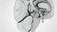 Cerveau et système nerveux