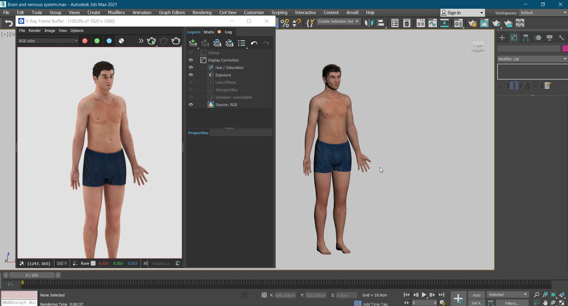 Brain and nervous system 3D https://p.turbosquid.com/ts-thumb/NM/SBGV3v/SY/20220630_234014/jpg/1657205845/1920x1080/fit_q87/85a71fecd0bc40d0f99cb32079b2172ff1fd3a81/20220630_234014.jpg