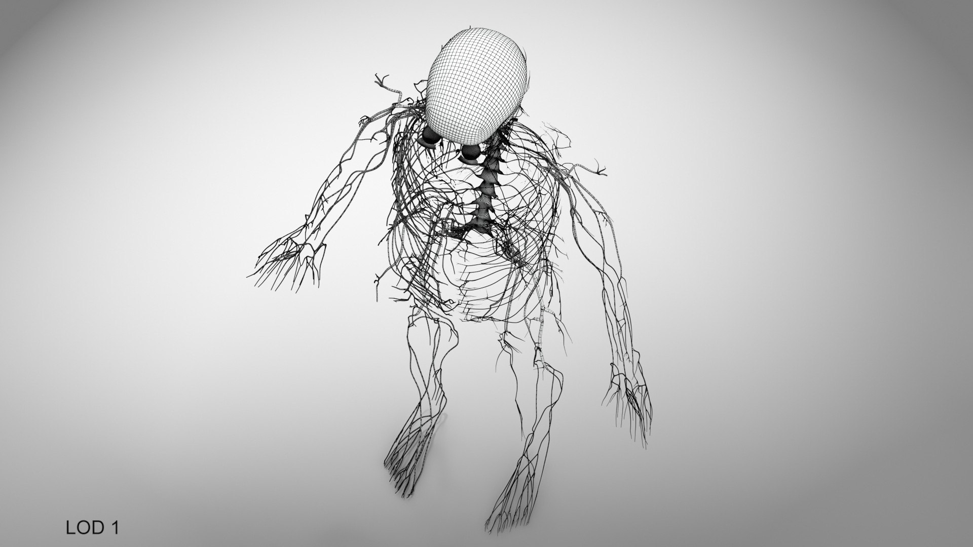Brain and nervous system 3D https://p.turbosquid.com/ts-thumb/NM/SBGV3v/X7/brainandnervoussystem_00020/jpg/1657200740/1920x1080/fit_q87/80282bdf866a07476ac46f24c75eb1cf45b1a7d8/brainandnervoussystem_00020.jpg