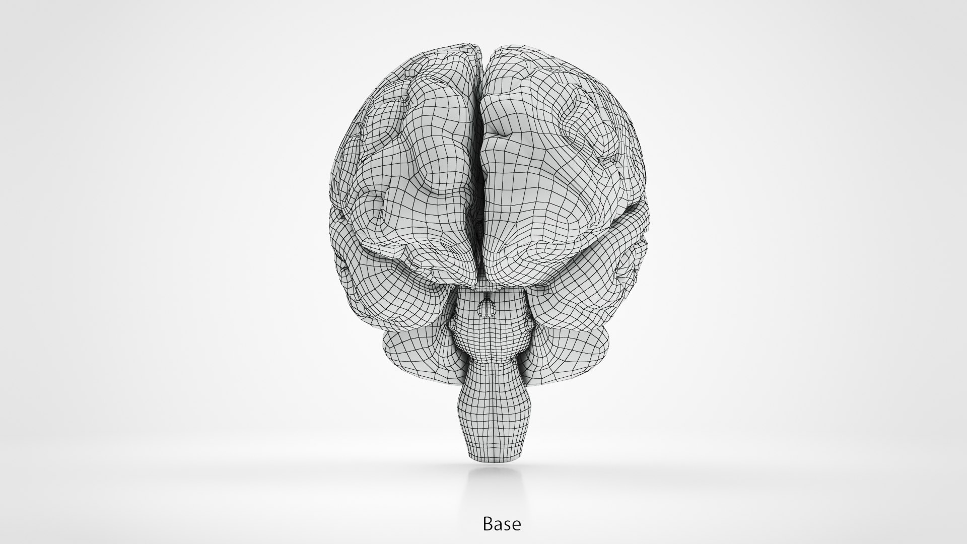 Brain and nervous system 3D https://p.turbosquid.com/ts-thumb/NM/SBGV3v/hJ/ww00002/jpg/1657200849/1920x1080/fit_q87/8f91ae9b64647cb3e8233bcae0ab760bd1c95c53/ww00002.jpg