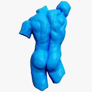 3D Nude Torso