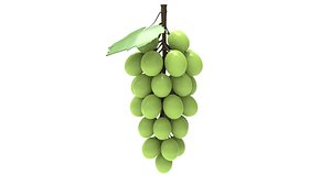 Grape 3D model