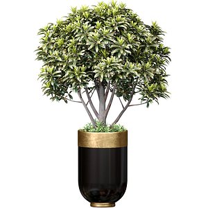 3D model Decorative tree in a floral modern black Luxury pot vase Godwin Longhi Art Deco planters with gildin