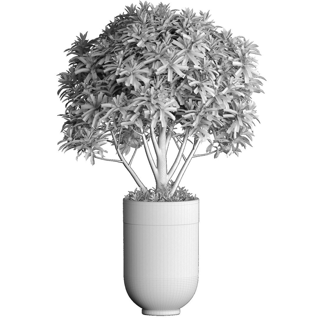3D Model Decorative Tree In A Floral Modern Black Luxury Pot Vase ...