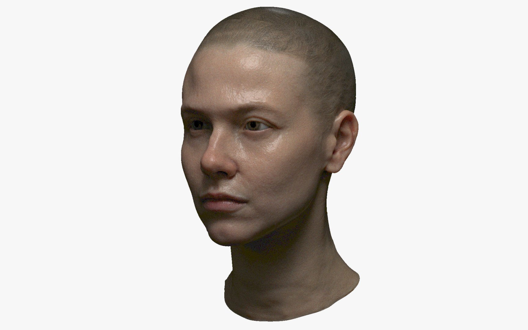 photorealistic pbr female face model https://p.turbosquid.com/ts-thumb/NM/ePh8Xs/9i/laura_textured_turntable_12/jpg/1613102735/1920x1080/fit_q87/49520e688835e39bb772a6b796a0027a88ecc138/laura_textured_turntable_12.jpg