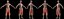 Shaolin monk - Game Ready Character Low-poly 
