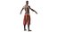 Shaolin monk - Game Ready Character Low-poly 