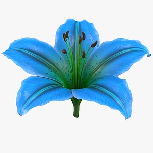 Realistic Blue Lily 3D Model - High-Quality 4K PBR Asset