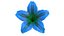 3D Realistic Blue Lily 3D Model - High-Quality 4K PBR Asset
