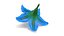 3D Realistic Blue Lily 3D Model - High-Quality 4K PBR Asset
