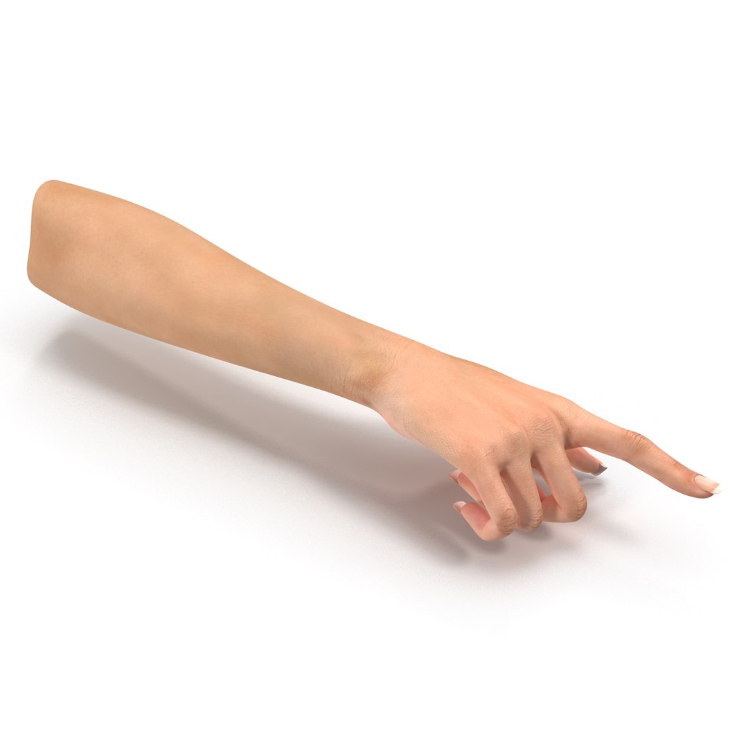 3d female hand 2 rigged https://p.turbosquid.com/ts-thumb/NM/pfaKah/8bKdK5st/femalehandriggedmaya3dmodel18/jpg/1479057259/1920x1080/fit_q87/dbea3d607b49fe186cd4d8845e2bb624e1150ebf/femalehandriggedmaya3dmodel18.jpg