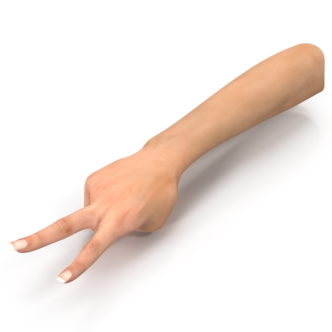 3d female hand 2 rigged https://p.turbosquid.com/ts-thumb/NM/pfaKah/FGQ0KATp/femalehandriggedmaya3dmodel11/jpg/1479057259/1920x1080/fit_q87/69e4ff549f9c560e8cd6ee241f027f4d056a14a9/femalehandriggedmaya3dmodel11.jpg