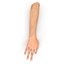 Female Hand 2 Rigged for Maya