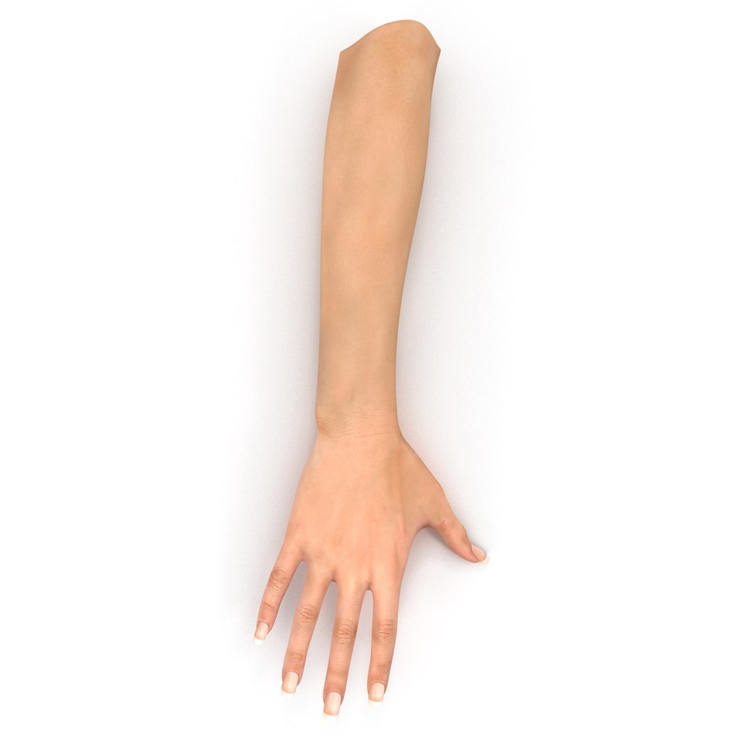 3d female hand 2 rigged https://p.turbosquid.com/ts-thumb/NM/pfaKah/LIVWSl0T/femalehandriggedmaya3dmodel01/jpg/1479057259/1920x1080/fit_q87/f07844960d69bdd802497860dae6ea6278d2d3f8/femalehandriggedmaya3dmodel01.jpg
