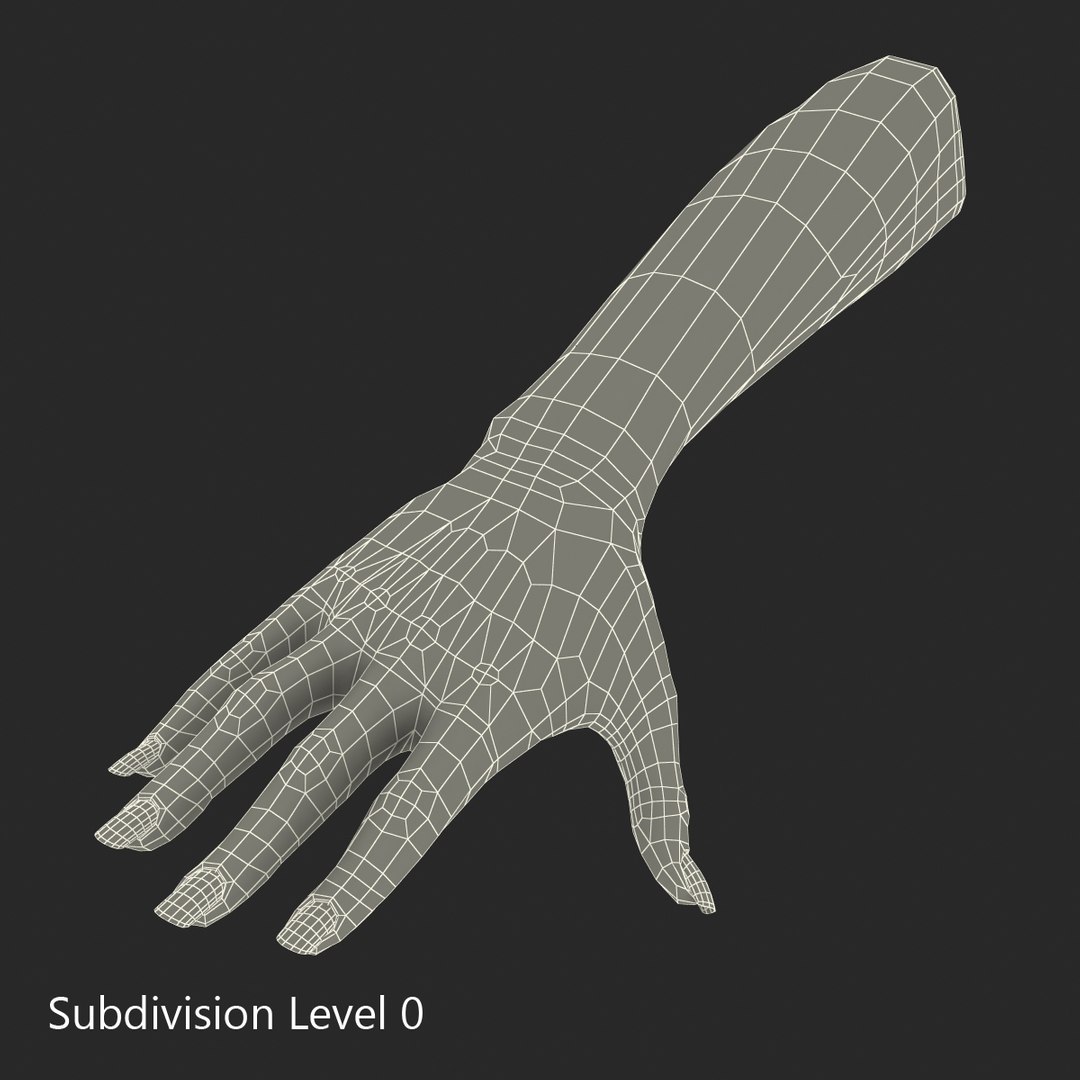 3d female hand 2 rigged https://p.turbosquid.com/ts-thumb/NM/pfaKah/M6GwgI8M/femalehandriggedmaya3dmodel42/jpg/1479057260/1920x1080/fit_q87/be59b9dddd06908d0dca3eb2069da2d55c62bbc5/femalehandriggedmaya3dmodel42.jpg