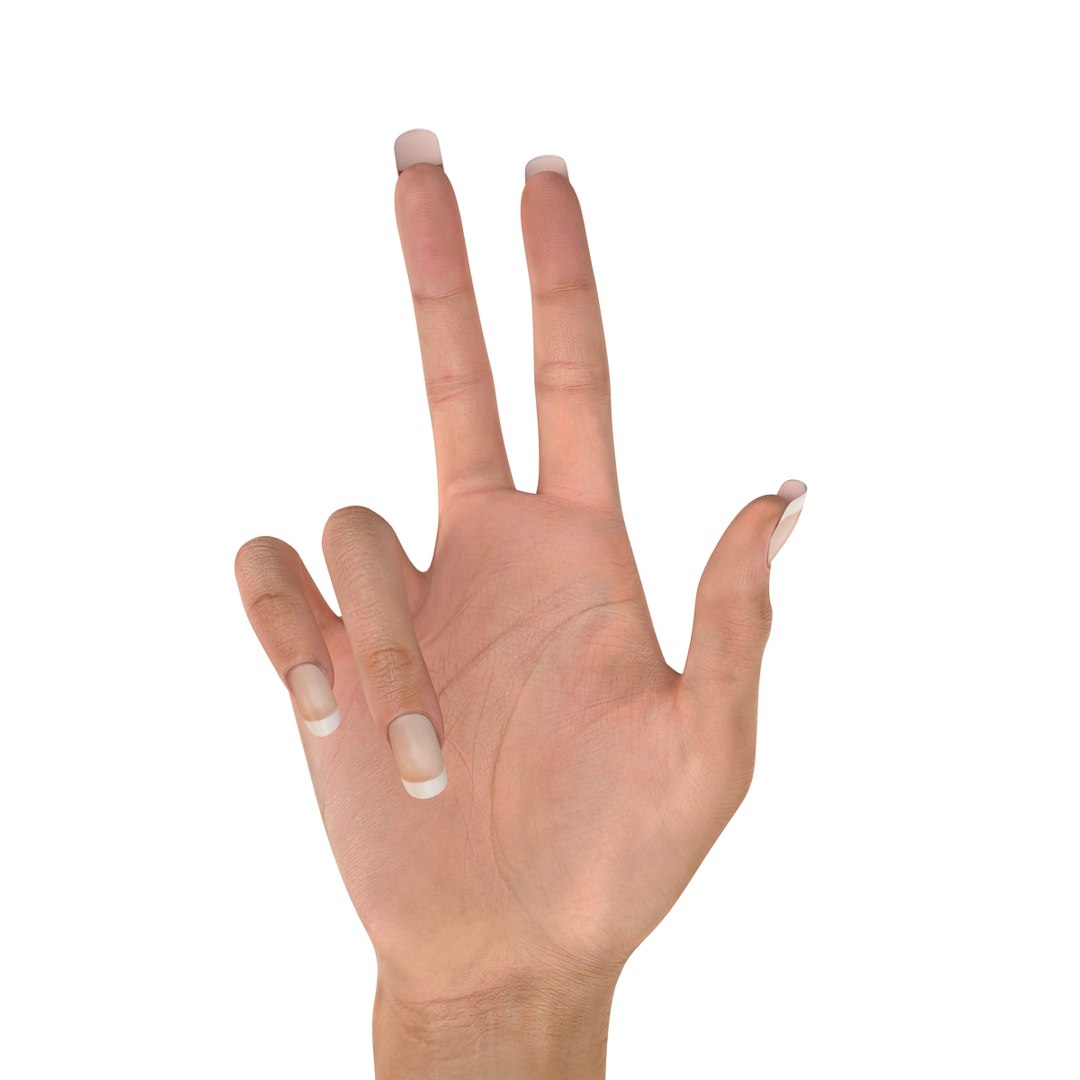 3d female hand 2 rigged https://p.turbosquid.com/ts-thumb/NM/pfaKah/TIVBIjJ5/femalehandriggedmaya3dmodel31/jpg/1479057259/1920x1080/fit_q87/f93f56cc01b5f22a90ff49bde8e2e245cb3c8a4d/femalehandriggedmaya3dmodel31.jpg