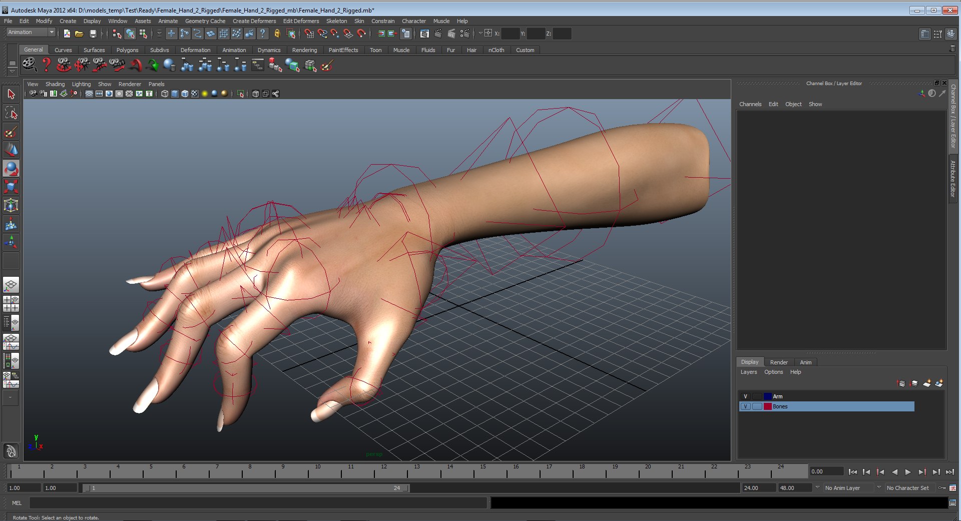 3d female hand 2 rigged https://p.turbosquid.com/ts-thumb/NM/pfaKah/VzMDh7St/femalehandriggedmaya3dmodel41/jpg/1479057259/1920x1080/fit_q87/88aeac956569d4c009876f7380cdfc9c50d0f60a/femalehandriggedmaya3dmodel41.jpg