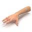 Female Hand 2 Rigged for Maya