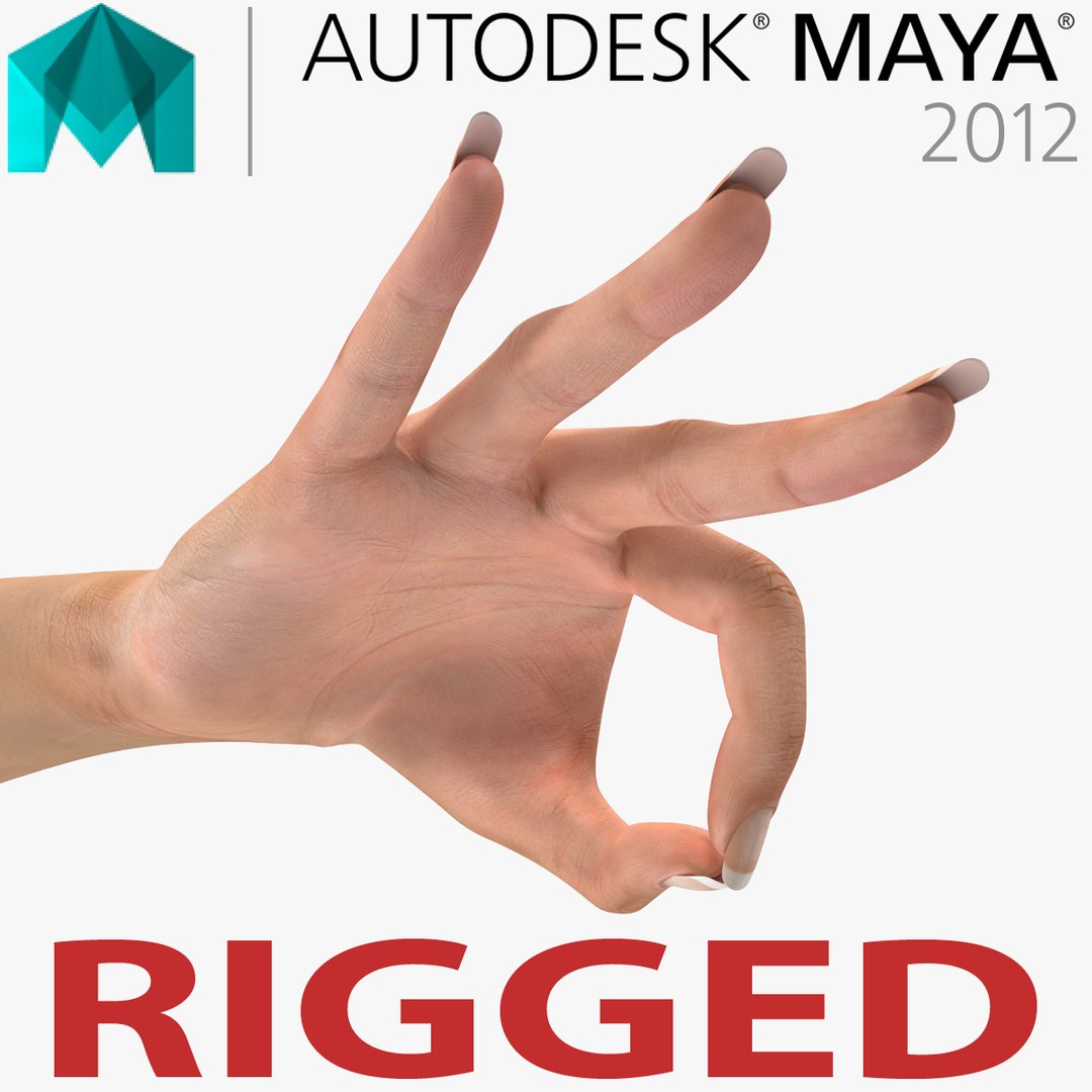 Female Hand 2 Rigged for Maya 3D model preview