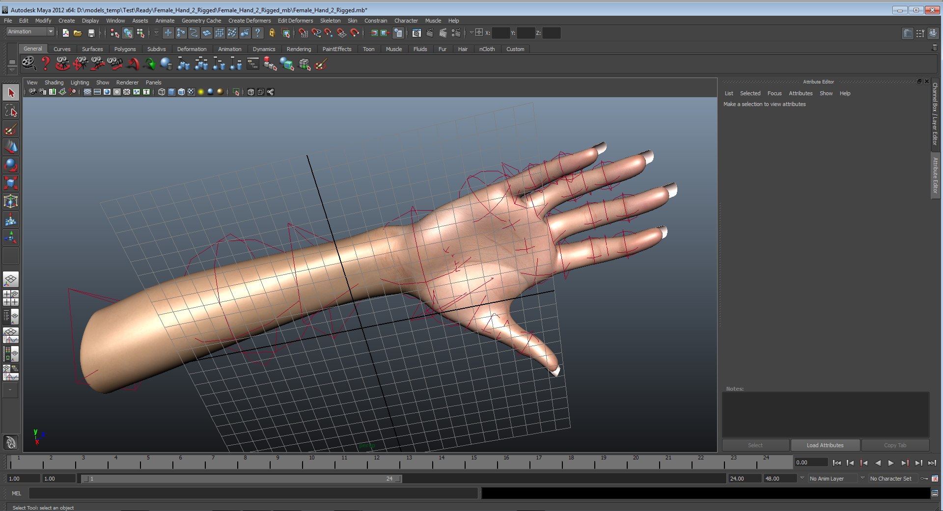 3d female hand 2 rigged https://p.turbosquid.com/ts-thumb/NM/pfaKah/d2Z2lUbD/femalehandriggedmaya3dmodel40/jpg/1479057259/1920x1080/fit_q87/1fc48fc1f9d99388ed88b2ab8474ce40d02d409a/femalehandriggedmaya3dmodel40.jpg