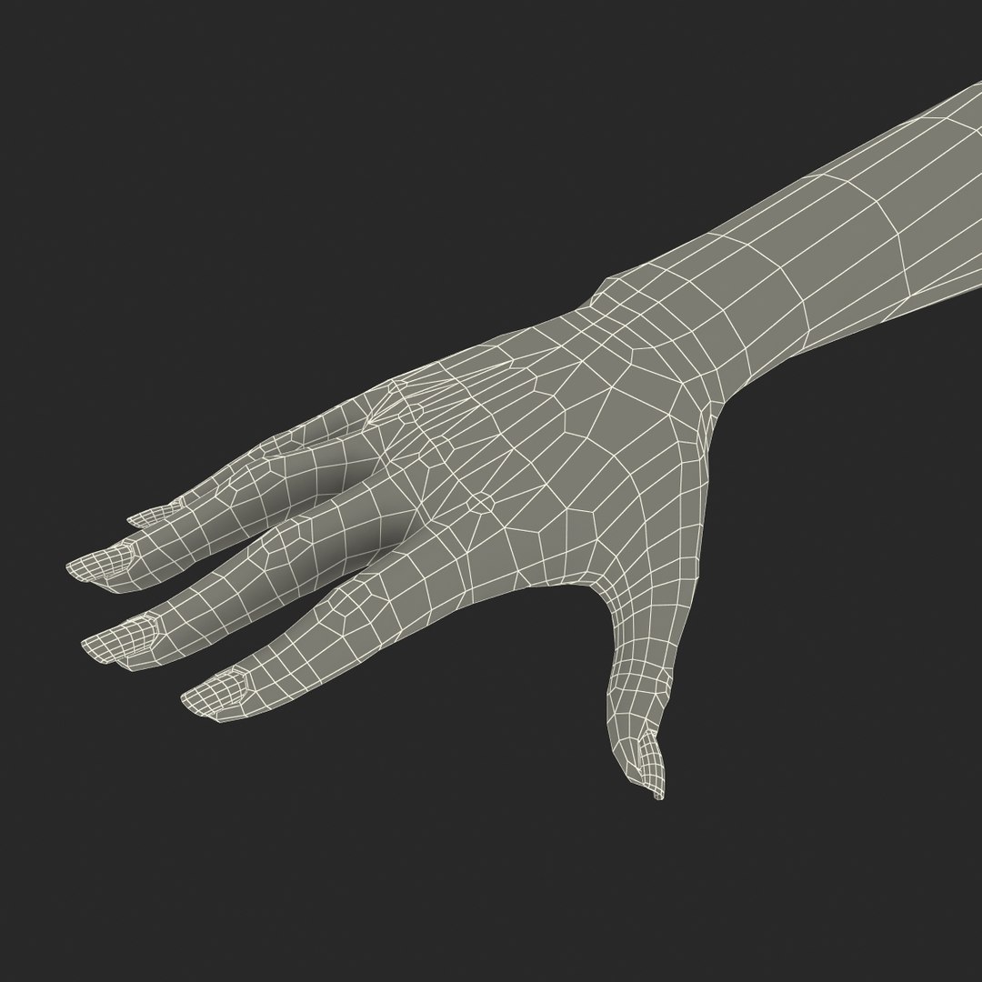 3d female hand 2 rigged https://p.turbosquid.com/ts-thumb/NM/pfaKah/kcewxQqh/femalehandriggedmaya3dmodel50/jpg/1479057260/1920x1080/fit_q87/1492324617990e1998e672643bd94ea429596146/femalehandriggedmaya3dmodel50.jpg