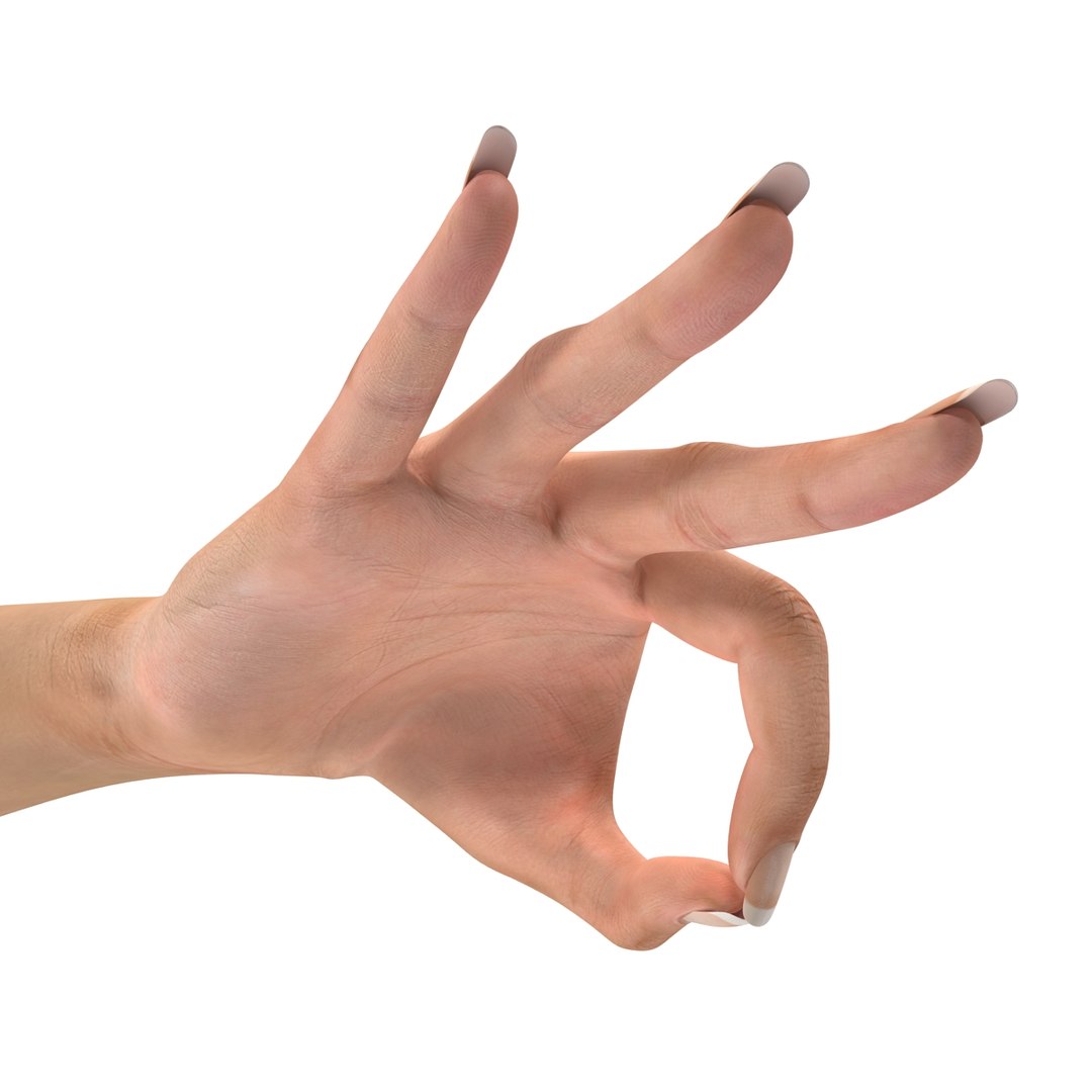 3d female hand 2 rigged https://p.turbosquid.com/ts-thumb/NM/pfaKah/sp6oprG3/femalehandriggedmaya3dmodel28/jpg/1479057259/1920x1080/fit_q87/96cea65fc1a27bdba298c9abbde5ddbff22e4eab/femalehandriggedmaya3dmodel28.jpg