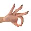 Female Hand 2 Rigged for Maya