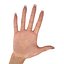 Female Hand 2 Rigged for Maya