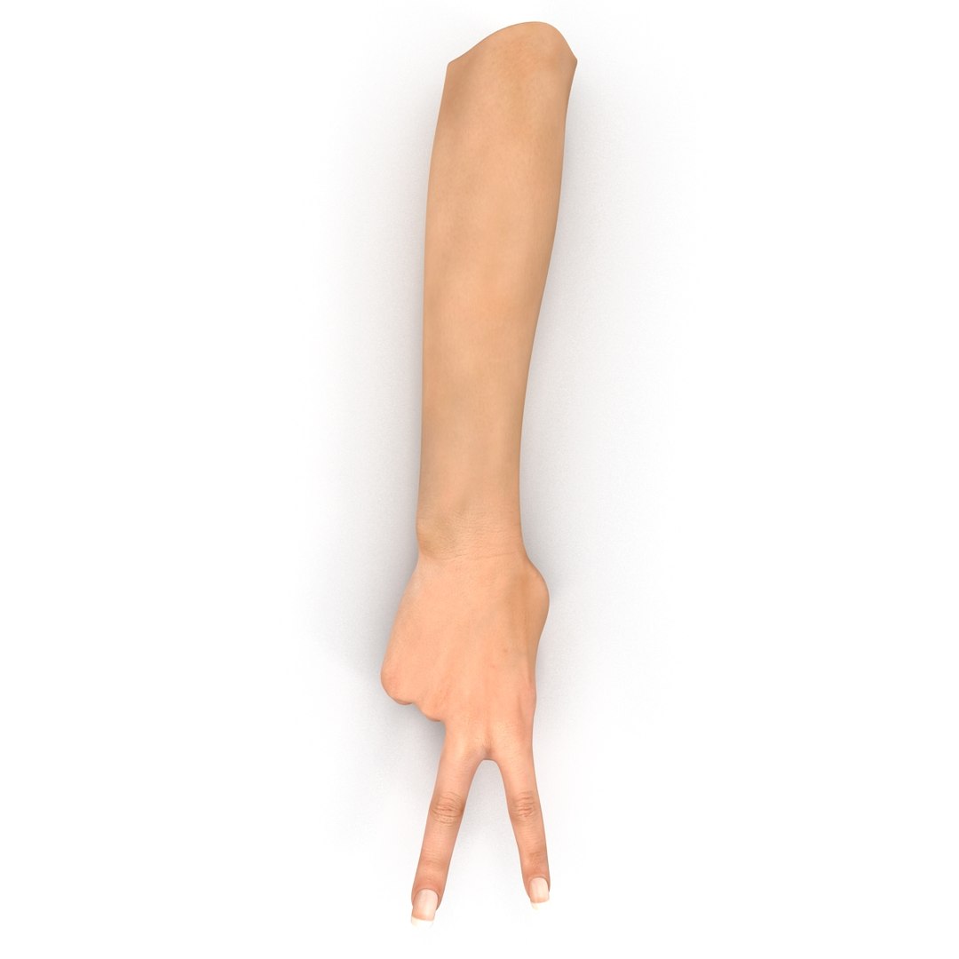 3d female hand 2 rigged https://p.turbosquid.com/ts-thumb/NM/pfaKah/t5aGqz3F/femalehandriggedmaya3dmodel03/jpg/1479057259/1920x1080/fit_q87/02b9291a76f3b80e029907a4e556388bbd63d287/femalehandriggedmaya3dmodel03.jpg