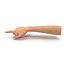 Female Hand 2 Rigged for Maya