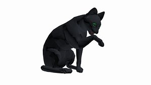 BLACK CAT