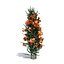 Campsis grandiflora 3