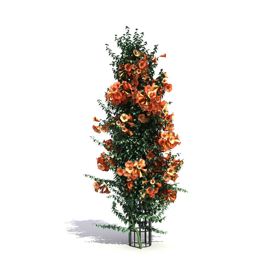 3d model 3 flower plant https://p.turbosquid.com/ts-thumb/NN/50Cegy/PoAmhldi/3/jpg/1468199859/1920x1080/turn_fit_q99/be2ba5b470896f8e3ab73531b57822863bbbce29/3-1.jpg