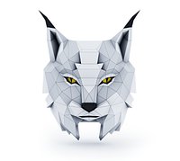 Lynx