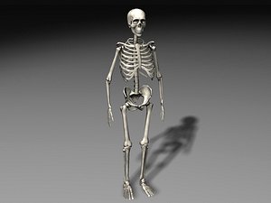 LowPoly Skeleton 1