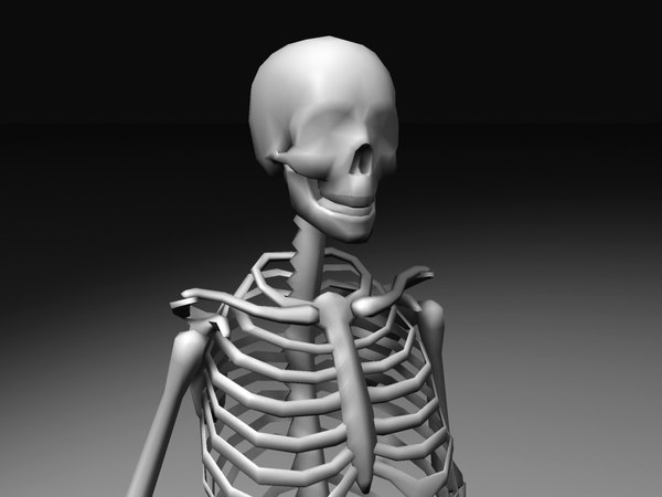 3d human skeleton model