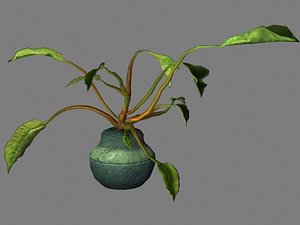 plant potted max