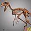dino skeleton max