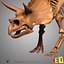 dino skeleton max