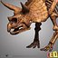 dino skeleton max