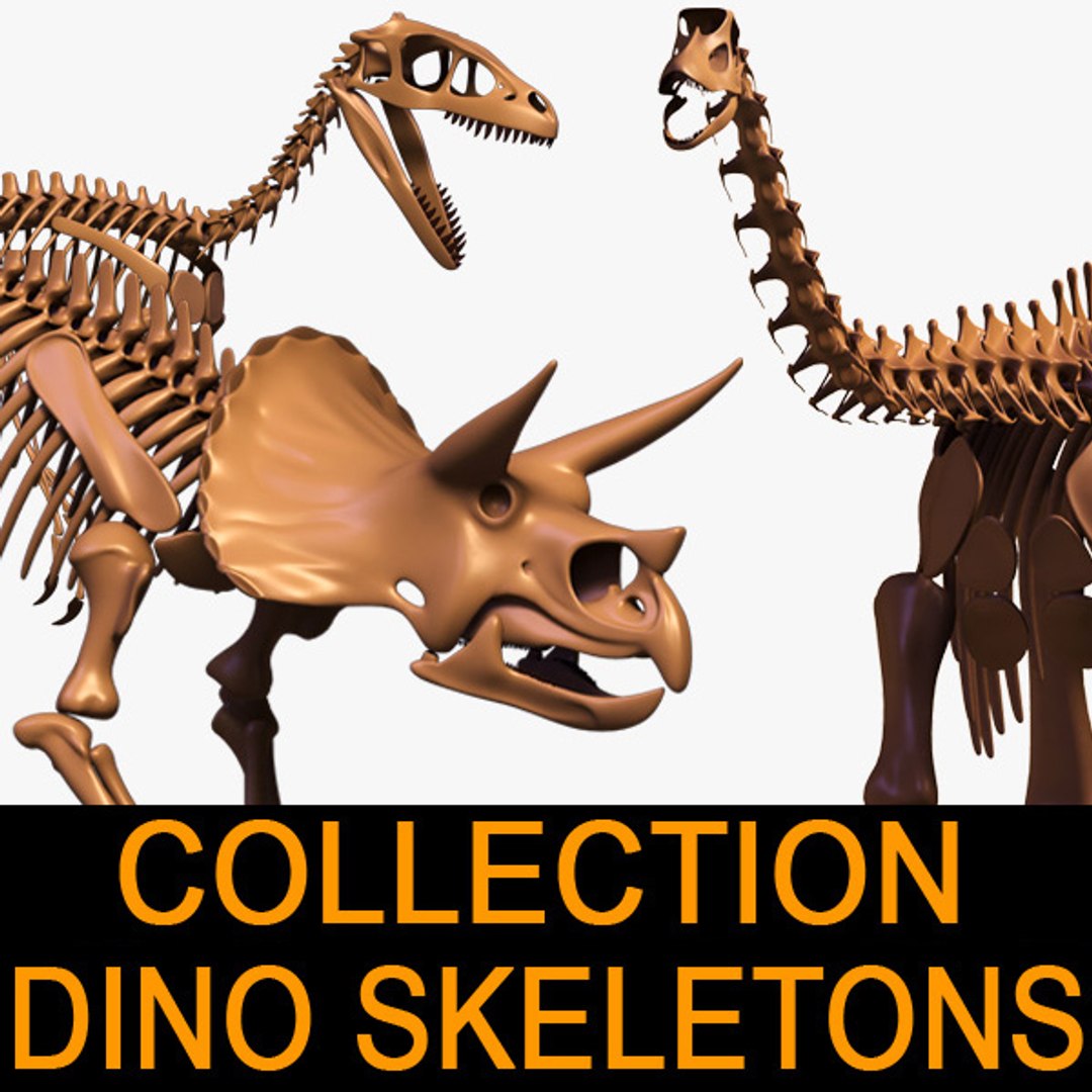 dino skeleton max https://p.turbosquid.com/ts-thumb/NO/0ta8LR/oAW8PJjV/dino_skeleton_leo3dmodels_00/jpg/1313767494/1920x1080/fit_q87/90436ed68ca3b31b14d9d7b2a7dbcd7a2515a360/dino_skeleton_leo3dmodels_00.jpg