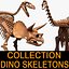 dino skeleton max
