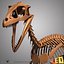 dino skeleton max