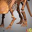 dino skeleton max