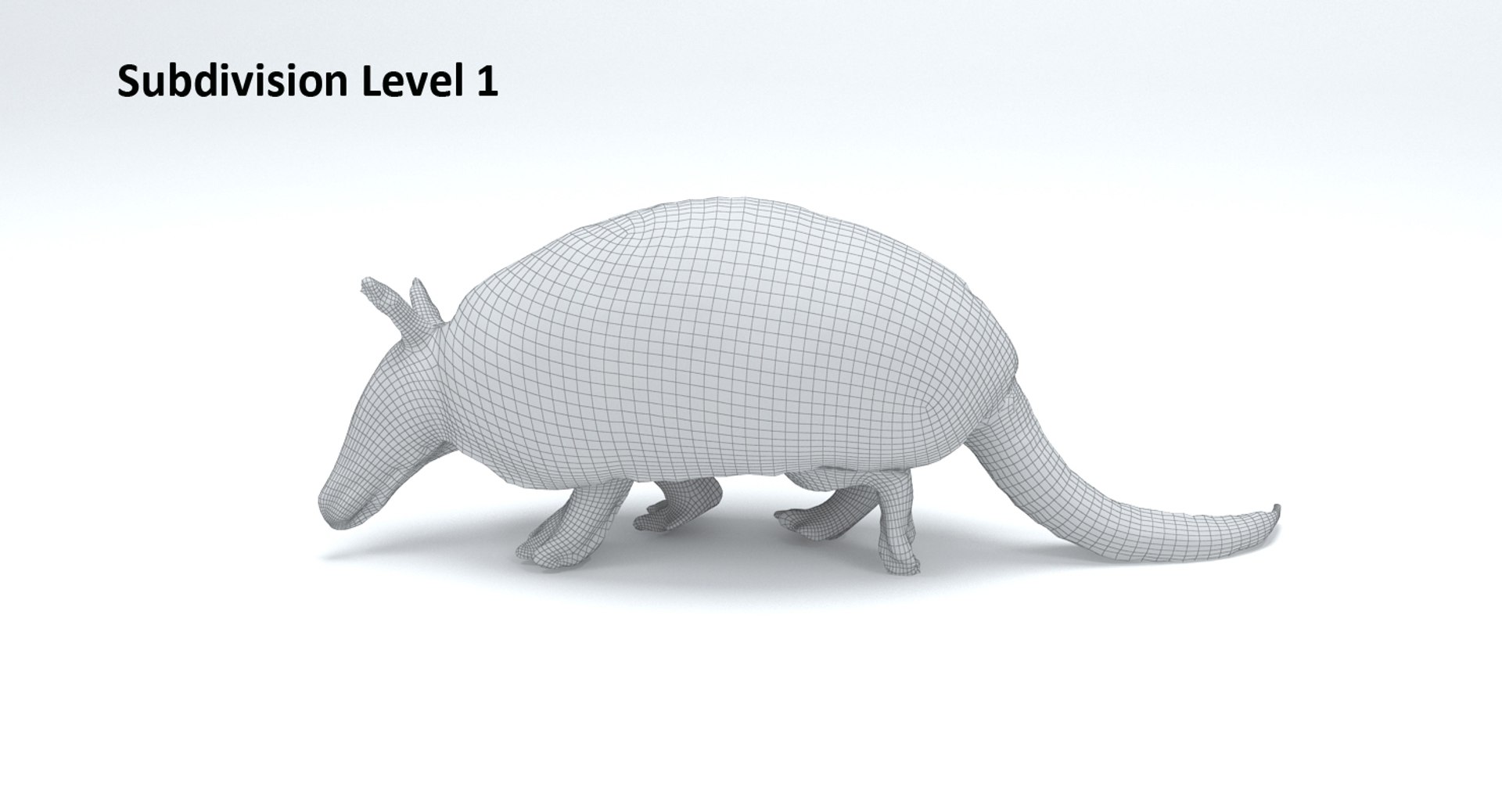 Armadillo 3d Model