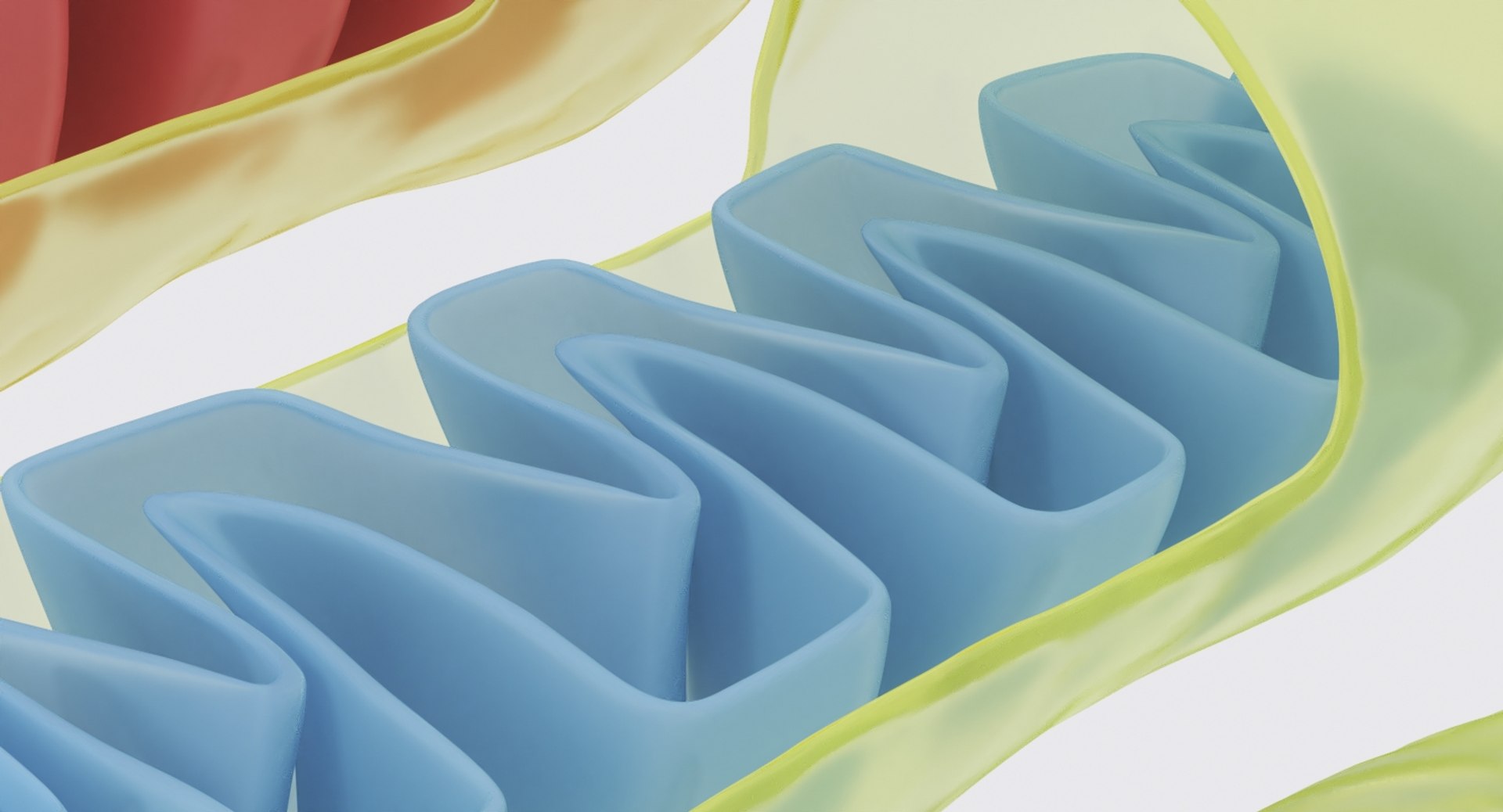 mitochondrions 3D https://p.turbosquid.com/ts-thumb/NO/CMLX35/h6qgRQD1/mito_10/jpg/1532691503/1920x1080/fit_q87/4ae49fd26c3959162b91dd876222e78cf73551a7/mito_10.jpg