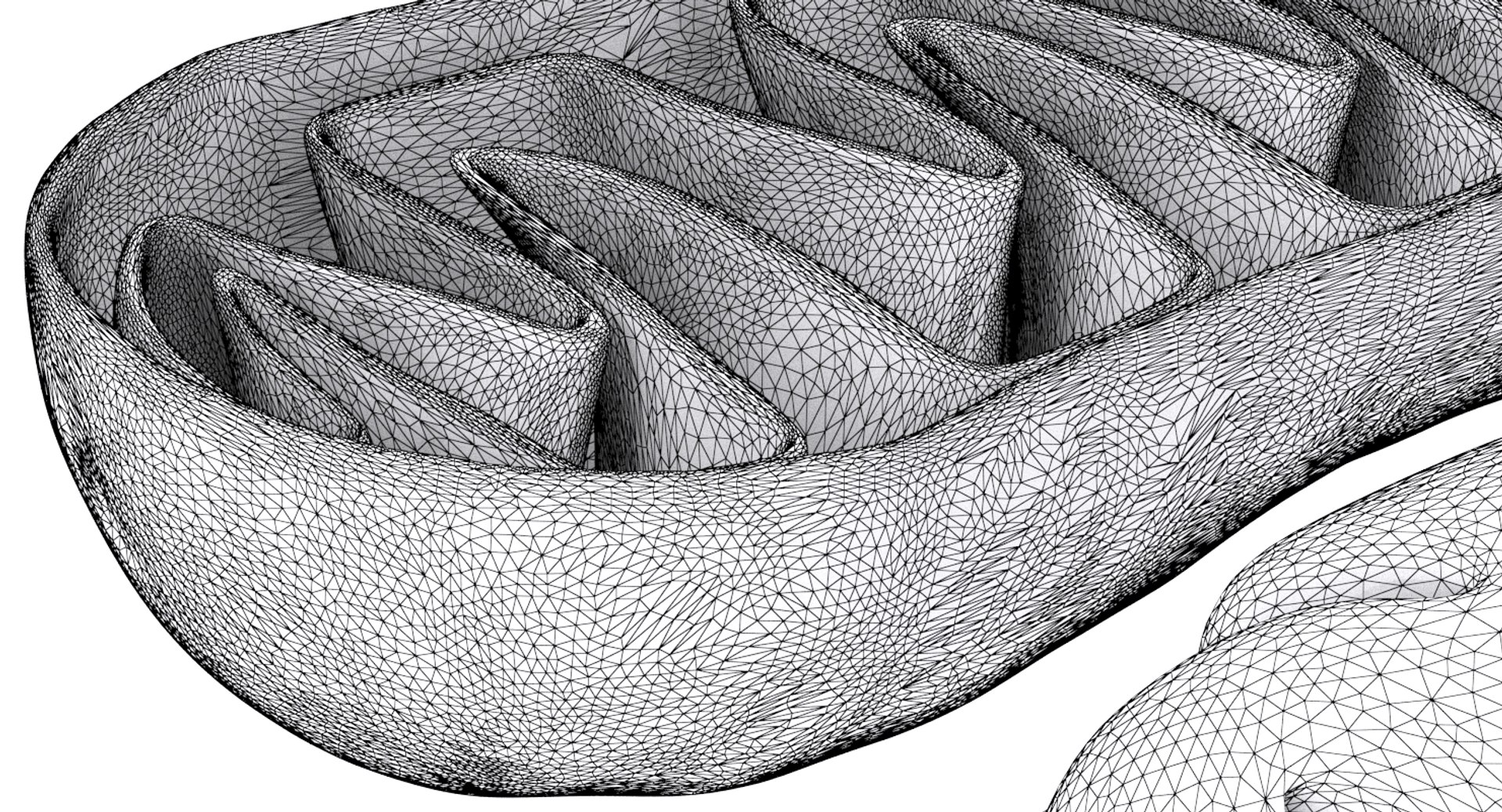 mitochondrions 3D https://p.turbosquid.com/ts-thumb/NO/CMLX35/xtuzrZ6Y/mito_19/jpg/1532691503/1920x1080/fit_q87/cea03f568c7ee6de43406f2073a8e3046c3a5c0f/mito_19.jpg