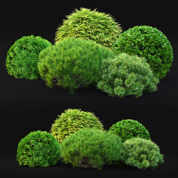 3D shrubs 60 - TurboSquid 1381776