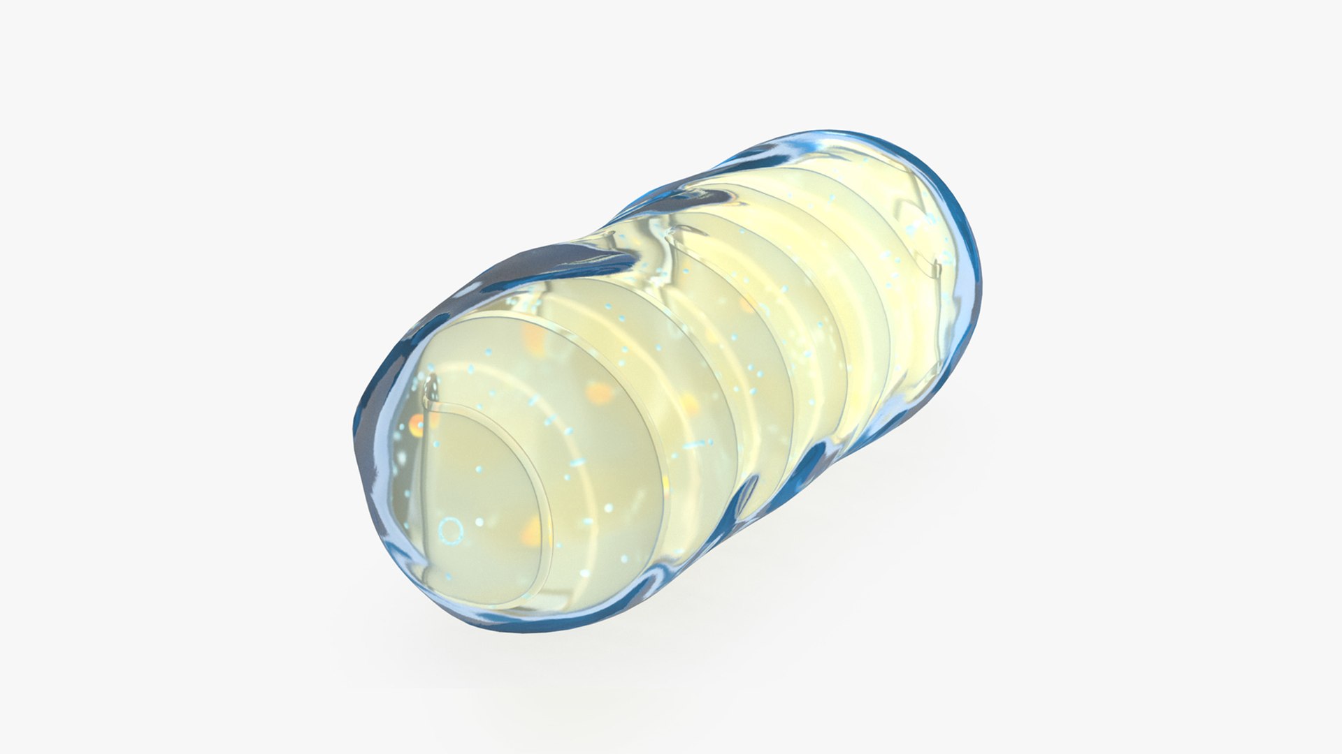 Mitochondrial Cell 3D model preview